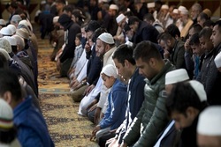 今年上半年英国发生608起袭击穆斯林事件