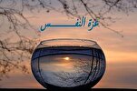 عزة النفس وتأطير المشاعر في القرآن