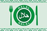 Halal kəsilmə qaydası/Hansı halda toyuqları yemək olar?