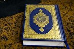 Əl-Əzhər Quran tədrisi kampaniyası başladıb