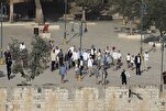 Hunderte von Besatzungstruppen unterstützten Siedlern stürmten die Al-Aqsa-Moschee