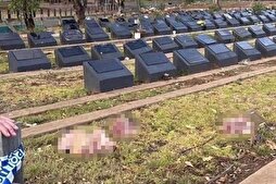 Pig Heads Left on Muslim Graves After Bondi Beach Mass Shooting