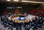 UNSC Backs Gaza Famine Declaration, US Stands Alone in Opposition