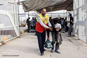 ارادتی که پیر و جوان نمی شناسد