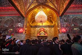 زیارت اربعین اباعبدالله الحسین(ع) کربلای معلی / ۲