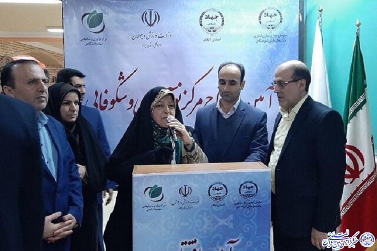 مرکز نوآوری و شکوفایی جهاددانشگاهی ایلام با حضور معاون رئیسجمهور افتتاح شد مرکز نوآوری و شکوفایی جهاددانشگاهی ایلام با حضور معاون رئیسجمهور افتتاح شد