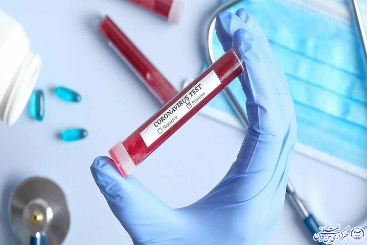 آمار فوتیهای کرونا در ایلام به ۱۶ نفر رسید آمار فوتیهای کرونا در ایلام به ۱۶ نفر رسید