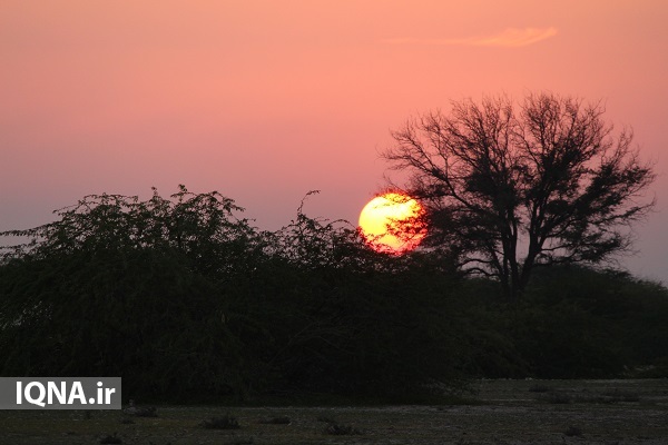 سفر به پارسیان را تجربه کنید + عکس