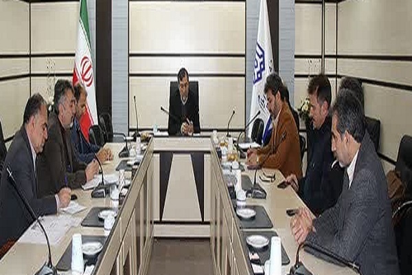 طاهر علی محمدی، دانشگاه ایلام