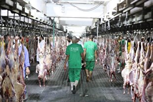 اعلام فراخوان جذب ذابحان برای حج تمتع ۱۴۰۵