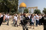 Al Aqsa profanée par les colons sionistes