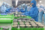 Les entreprises vietnamiennes misent sur les « passeports verts » pour le marché halal