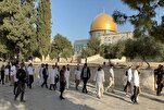 Une universitaire palestinienne dénonce le projet sioniste de déstabilisation d’Al-Aqsa
