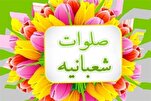 د ولایت او امامت په حریم کې د شعبانیه صلوات قرآئت (فیلم)