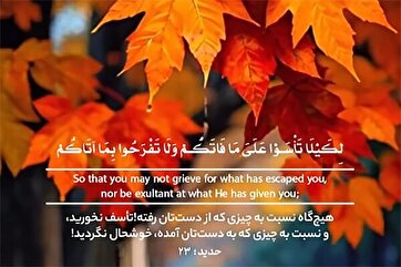 Никогда не сожалейте