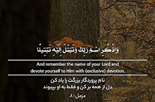 Klipu | Ujitolee kwake kwa ukamilifu