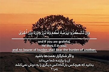 启示之声
恰如其分的致敬